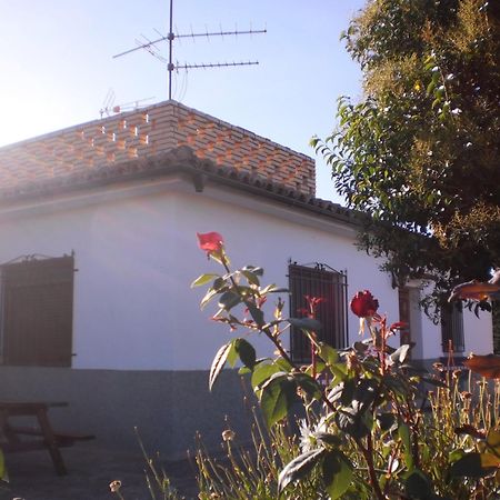 Casa Los Olivos Grávalos Exterior foto